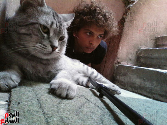 القط تومى وصديقه عبد الرحمن (16)