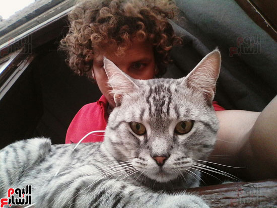 القط تومى وصديقه عبد الرحمن (18)