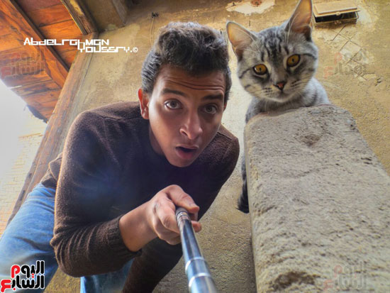 القط تومى وصديقه عبد الرحمن (14)