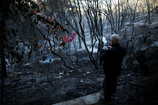 حرائق الغابات فى إسرائيل 