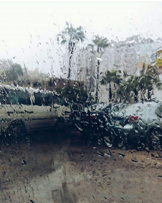 أمطار إسكندرية