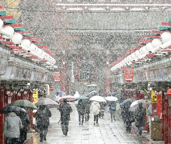 طوكيو تتعرض لموجة ثلوج فى نوفمبر لأول مرة منذ 54 عاما (7)