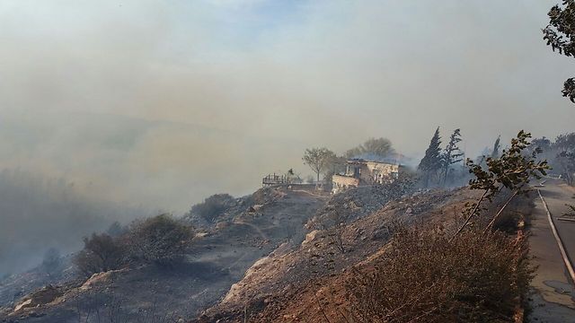 الحرائق تلتهم ملايين الامتار من الغابات