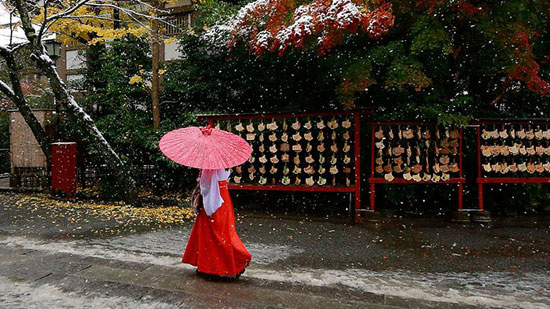 طوكيو تتعرض لموجة ثلوج فى نوفمبر لأول مرة منذ 54 عاما (1)