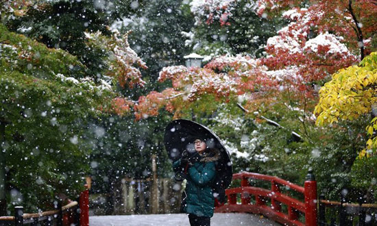 طوكيو تتعرض لموجة ثلوج فى نوفمبر لأول مرة منذ 54 عاما (3)