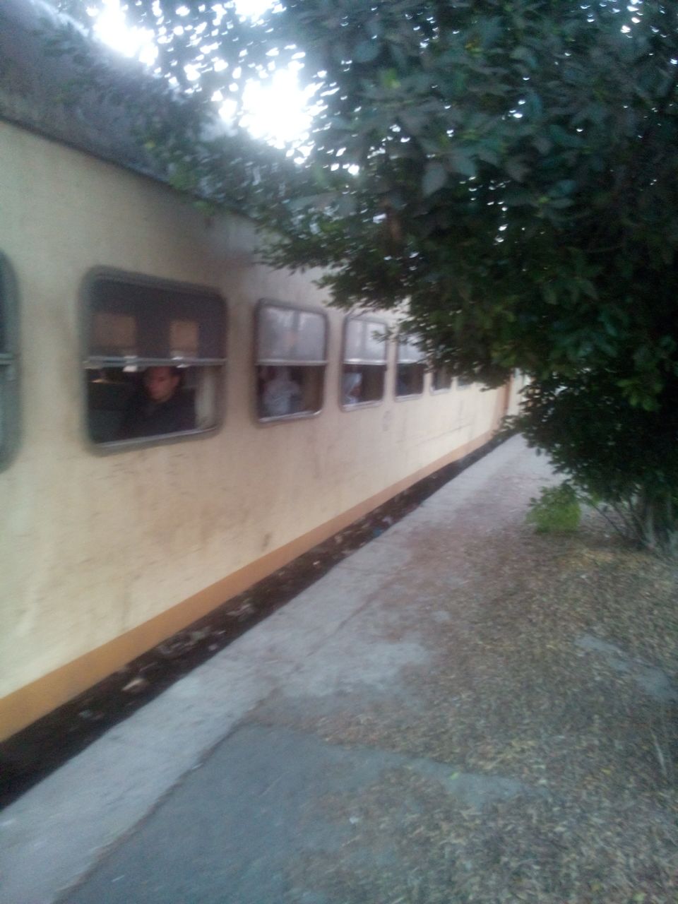 القطار بدون نوافذ زجاجية 