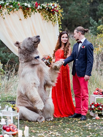 صورة من حفل الزواج 