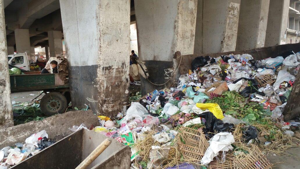 القمامة أصبحت مصدر الأمراض لأطفال دمنهور