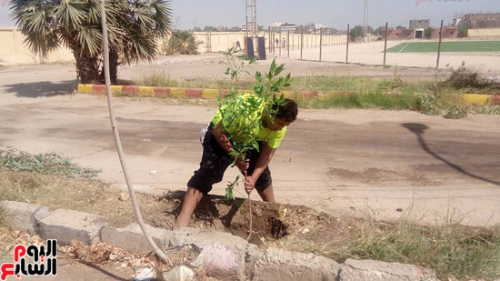 جانب من أعمال الشباب فى تجميل مدينة القرنة