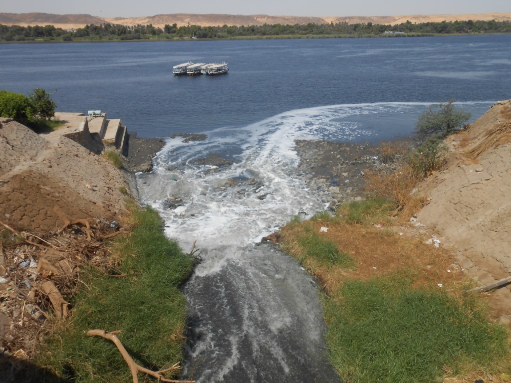 تلوث النيل بأسوان