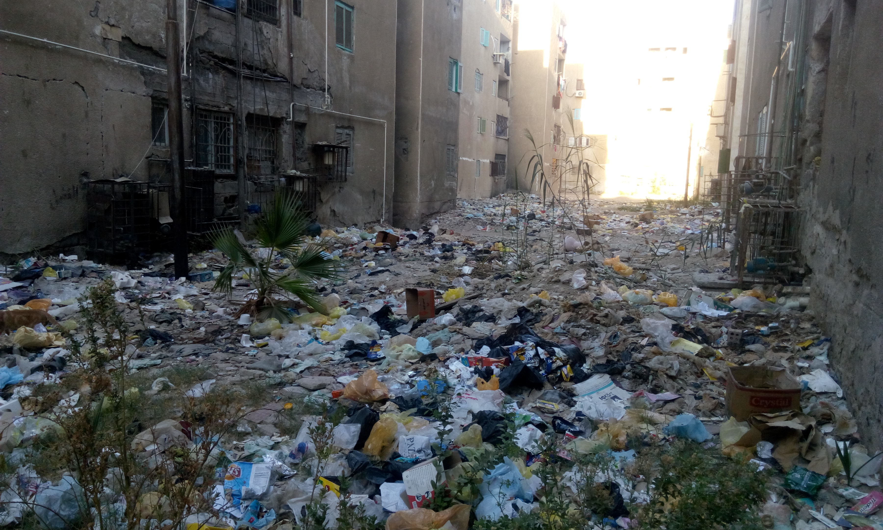 أكوام القمامة فى منطقة مساكن عثمان بقنا