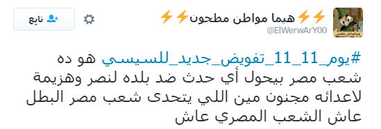 تعليقات المغردين على هاشتاج يوم 11-11 تفويض جديد للسيسى (2)