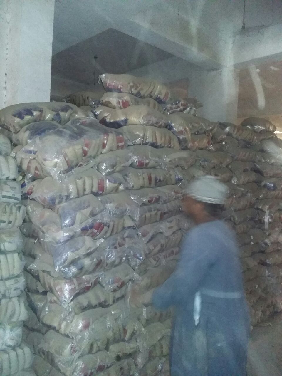 أحد العمل أثناء عملية تحميل الأرز الفاسد