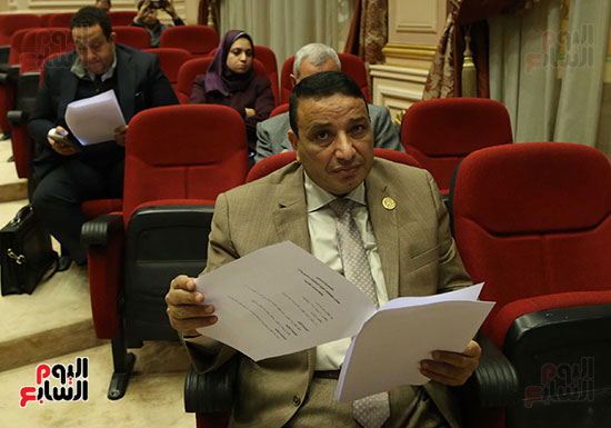 	النائب عادل بدوى