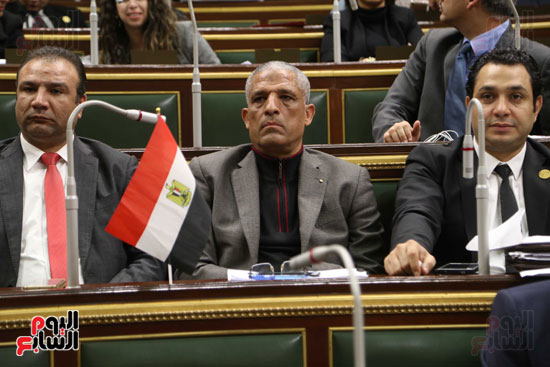 علم مصر يزين البرلمان