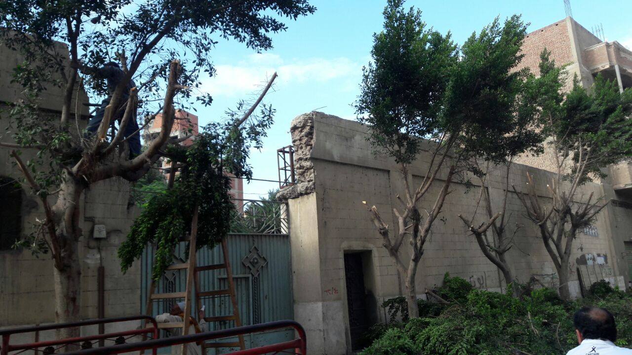 إزالة الأشجار من جانب أسوار الكنائس