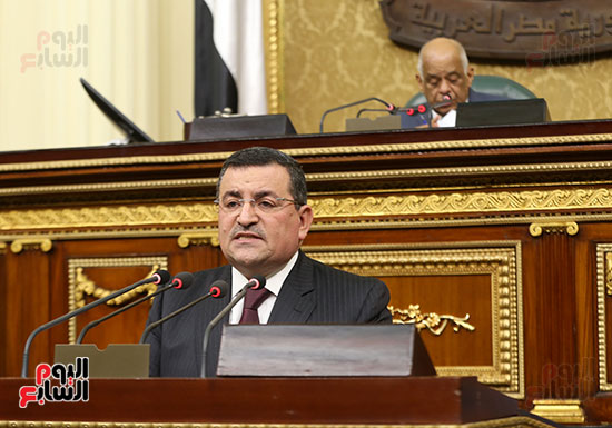 النائب اسامة هيكل