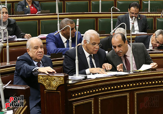 وزير النقل  جلال السعيد