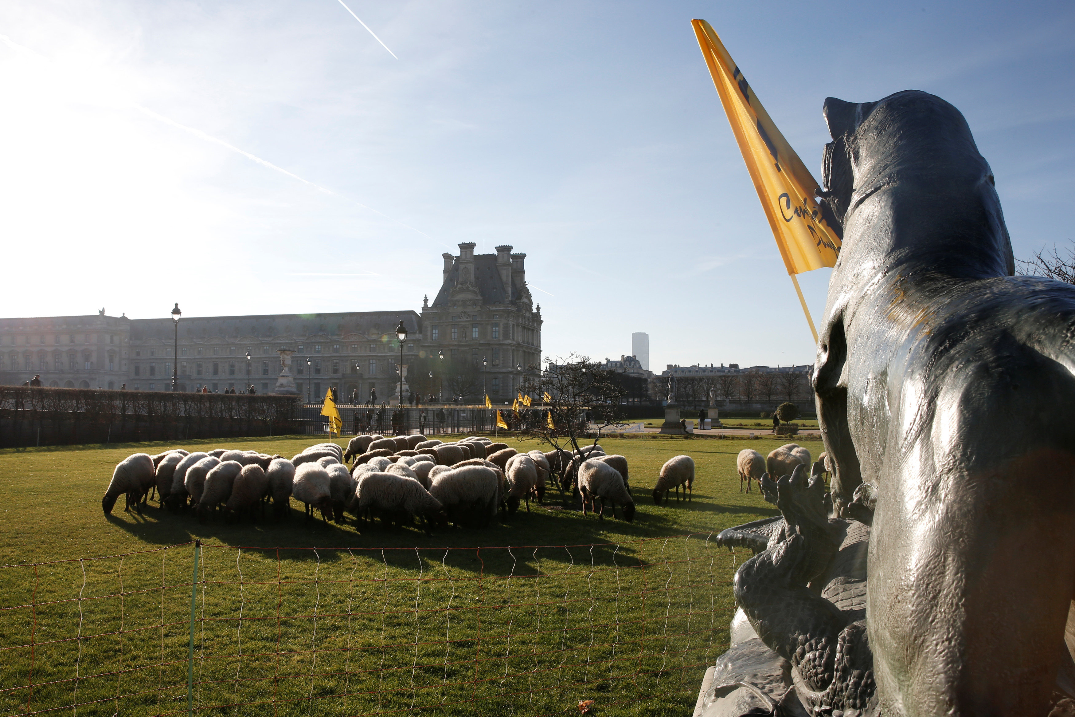 2016-12-14T115153Z_2060760210_RC1D29CA6000_RTRMADP_3_FRANCE-AGRICULTURE-WOLVES