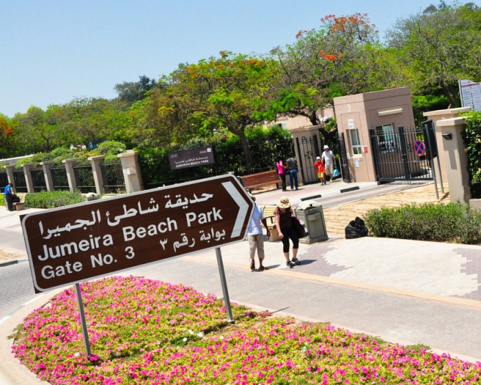 حدائق الجميرا في دبي (3)