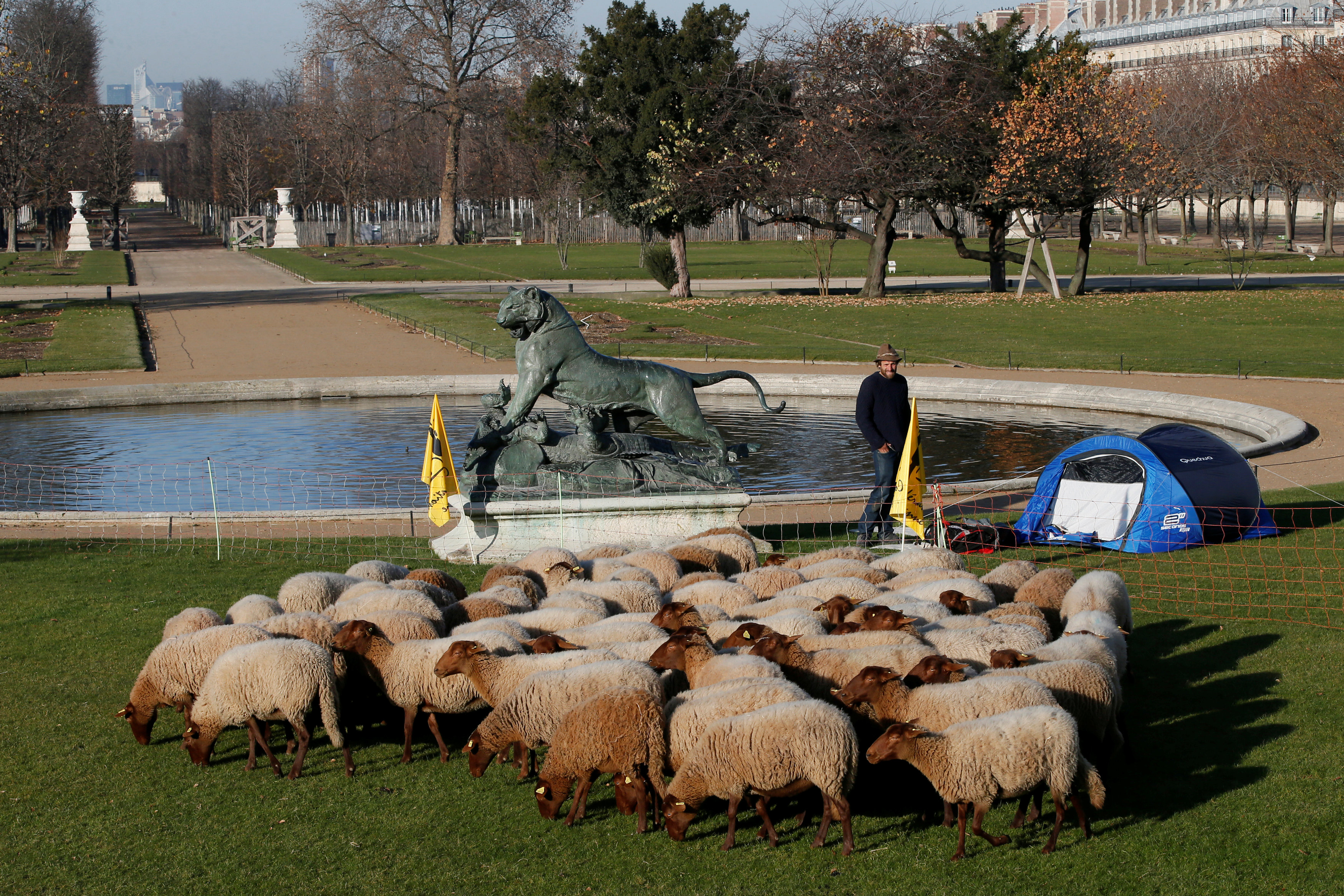 2016-12-14T114454Z_890360712_RC1D2156A680_RTRMADP_3_FRANCE-AGRICULTURE-WOLVES