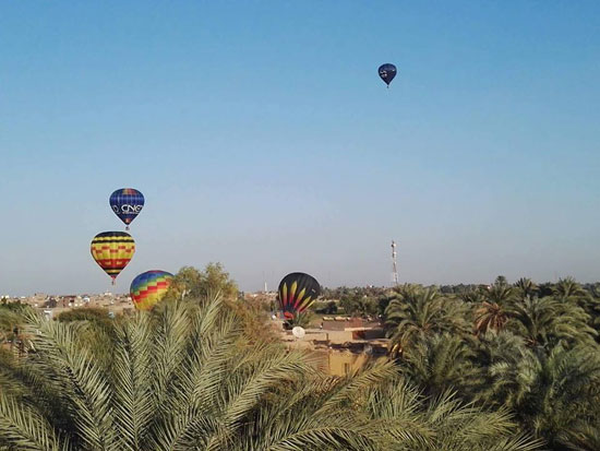             الاتحاد المصرى للطيران ينظم أول فعاليات مهرجان البالون الدولى