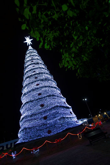  إحدى شجرات مضاءة فى حديقة مستوطنة ماتشلا بالاكوادور استعدادا لاحتفالات الكريسماس
