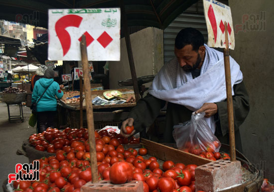 بائع ينتقى الخضروات