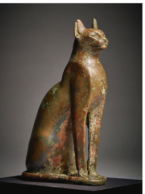 قطة فرعونية