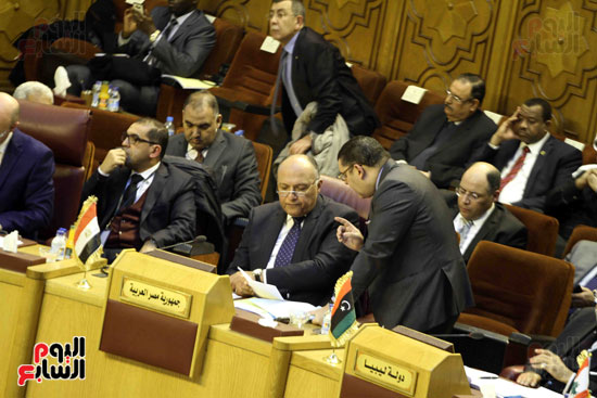 اجتماع وزراء الخارجية العرب - مجلس الدول العربية (15)