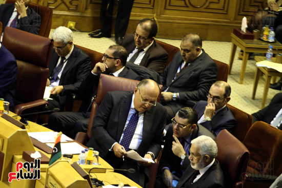 اجتماع وزراء الخارجية العرب - مجلس الدول العربية (12)