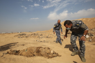 الشرطة العراقية تعاين مكان المقبرة الجماعية