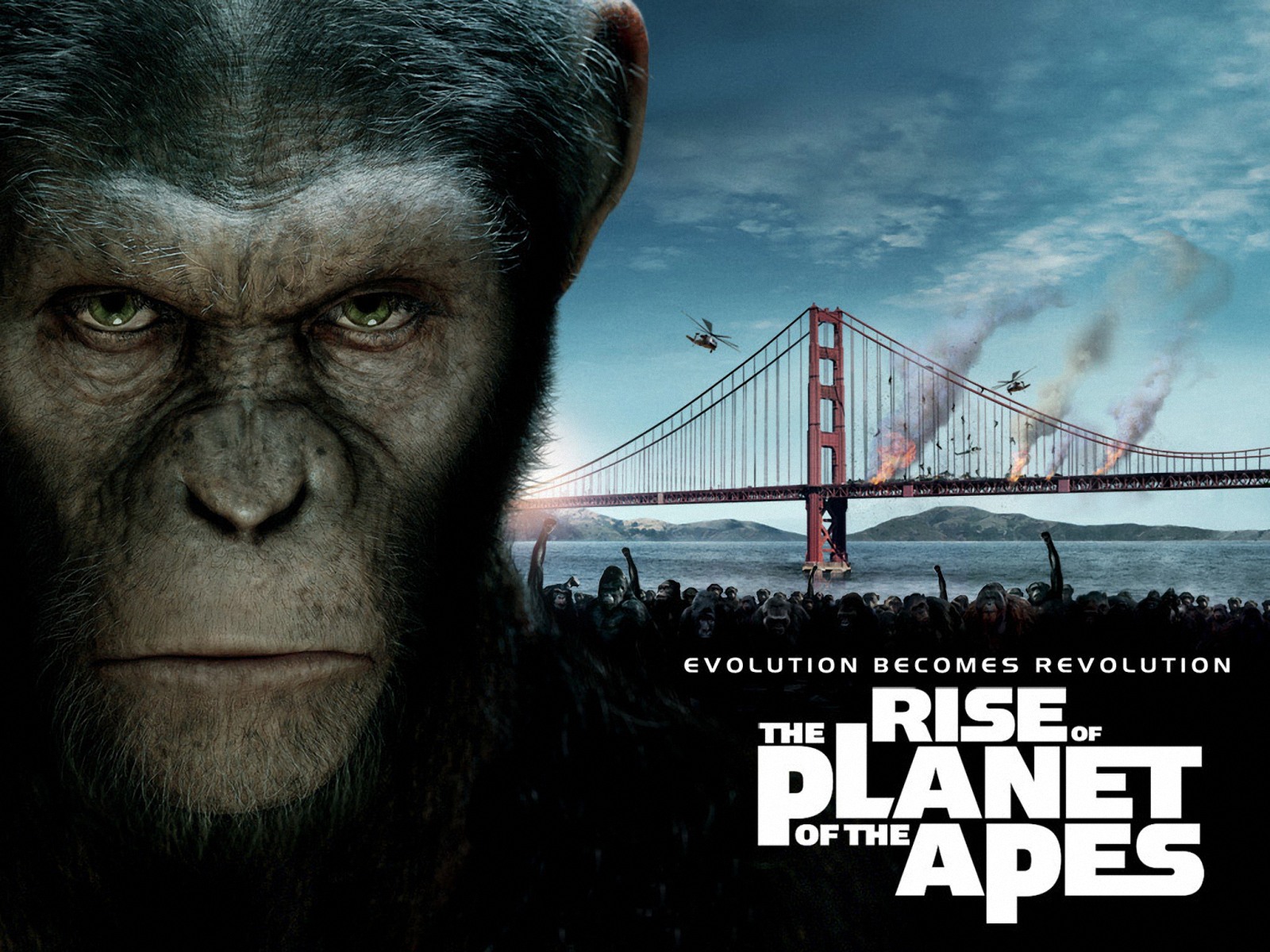 the Planet of the Apes