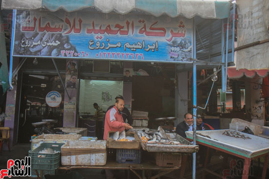 محلات أسماك بورسعيد لها طرق مميزة فى عرض بضائعها 