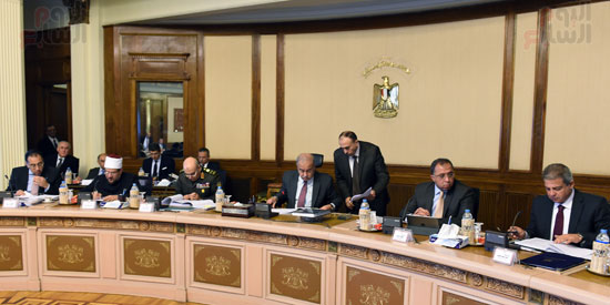 اجتماع الحكومة لمناقشة قانون الاستثمار فى صيغته النهائية (21)