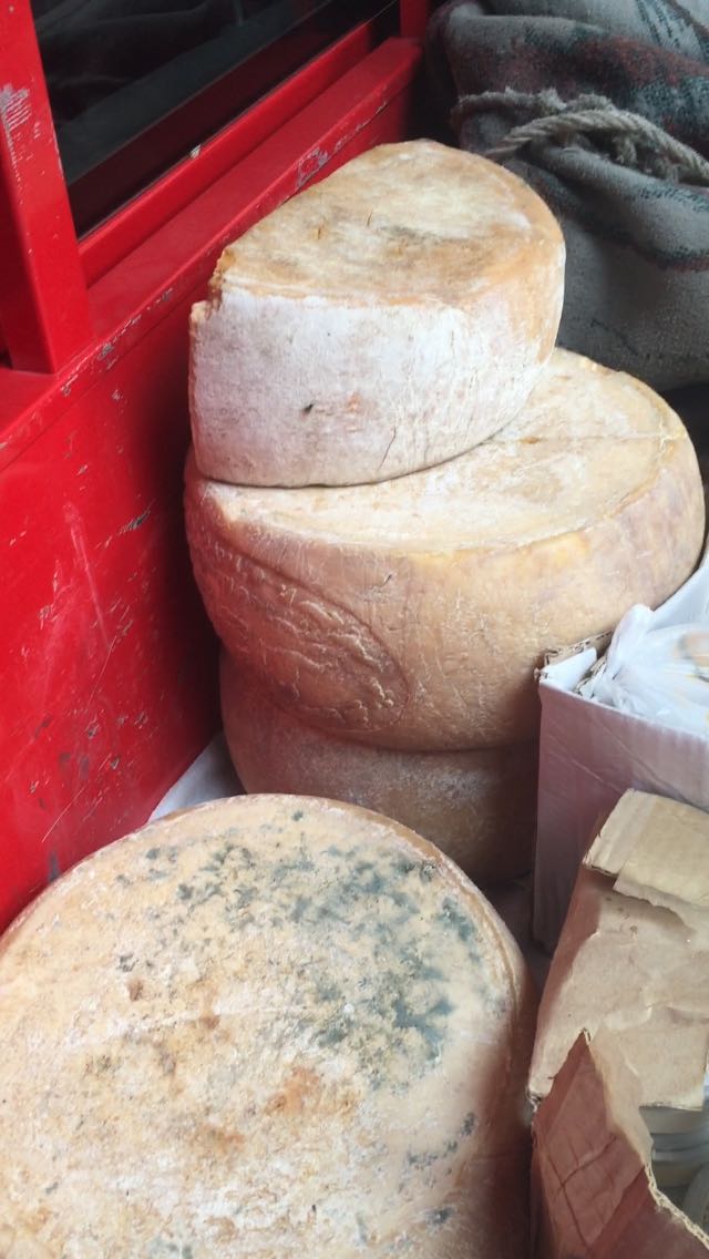 الجبنة المضبوطة وعليها كمية من الفطريات