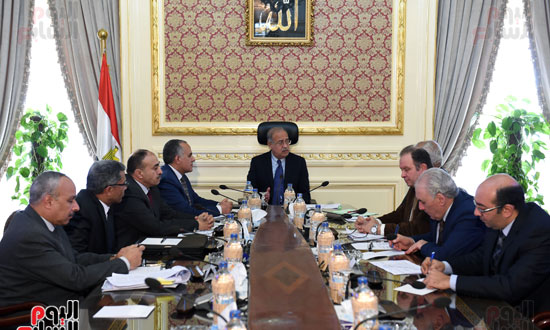 رئيس الوزراء يعقد اجتماعا مع مسئولى شركة الريف المصرى (1)