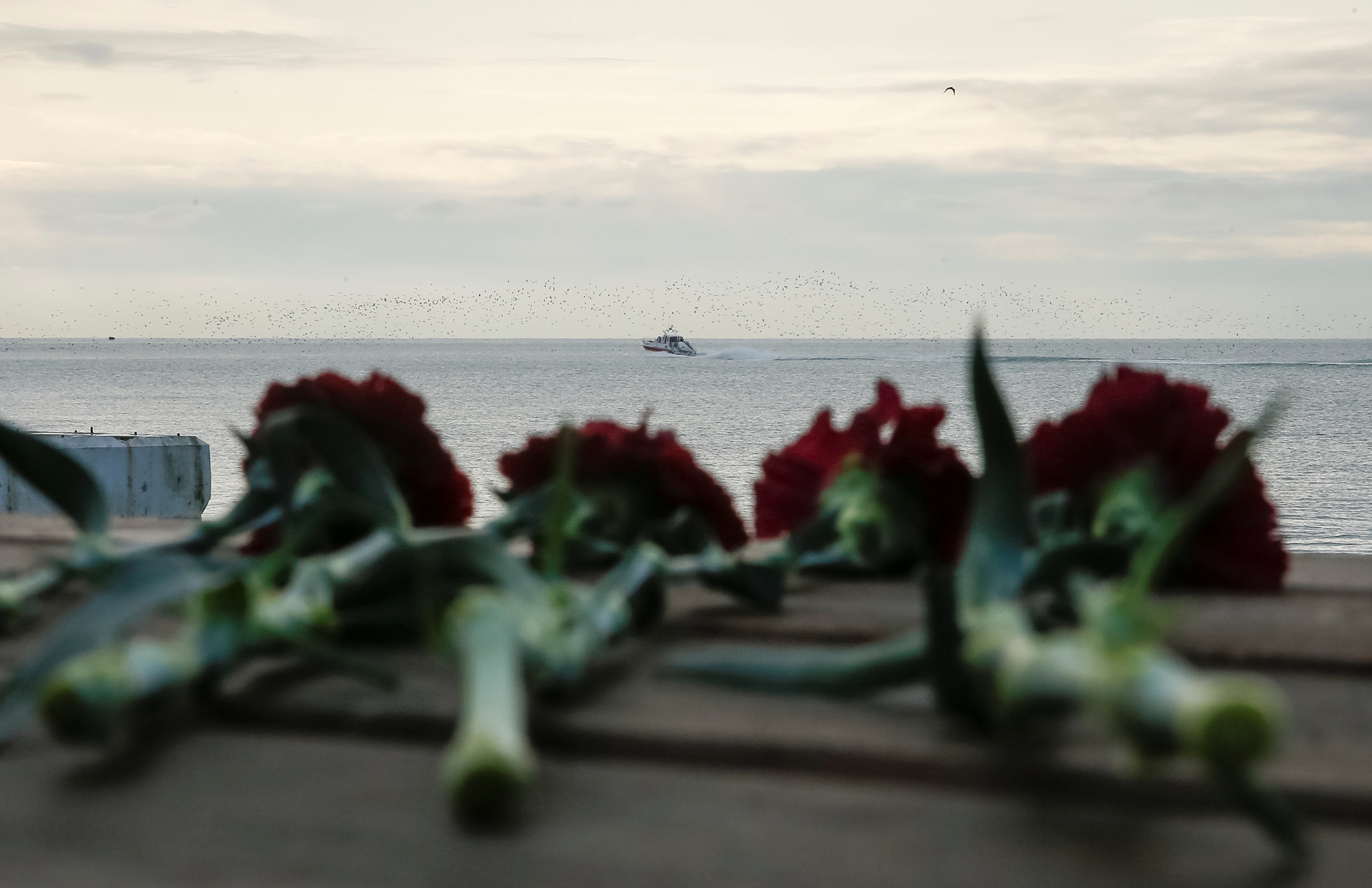 الزهور علي رصيف منتجع سوتشي تنظر ضحايا الطائرة الروسية المنكوبة