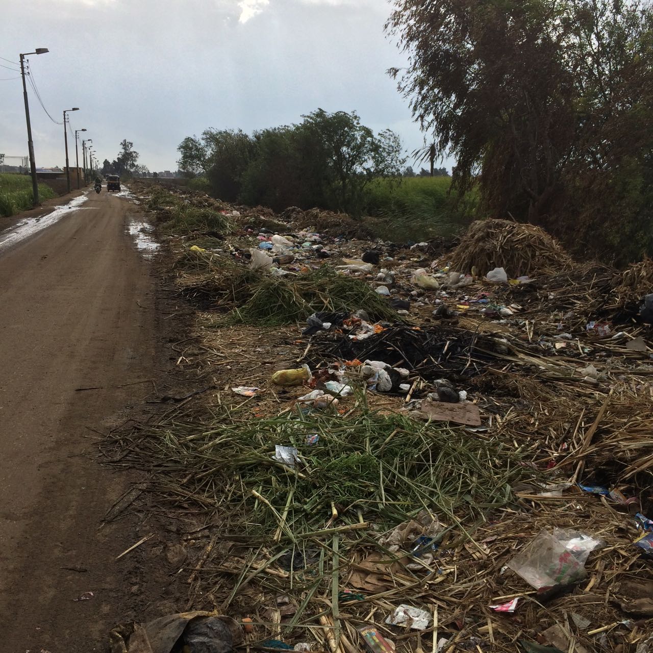 القمامة على جانب طريق القرية