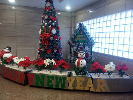 أشجار الكريسماس احتفالا بأعياد رأس السنة الميلادية (1)