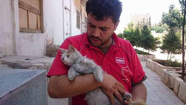 سوري يتبنى مئات من القطط الفارين من الحرب في حلب
