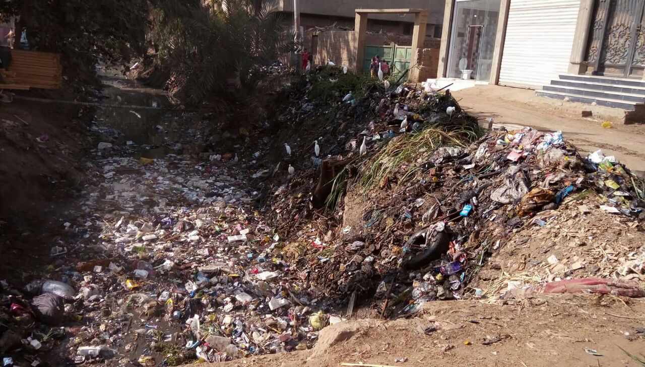 أهالى قرية منية دمنة يعانون من مشاكل القمامة والصرف الصحى