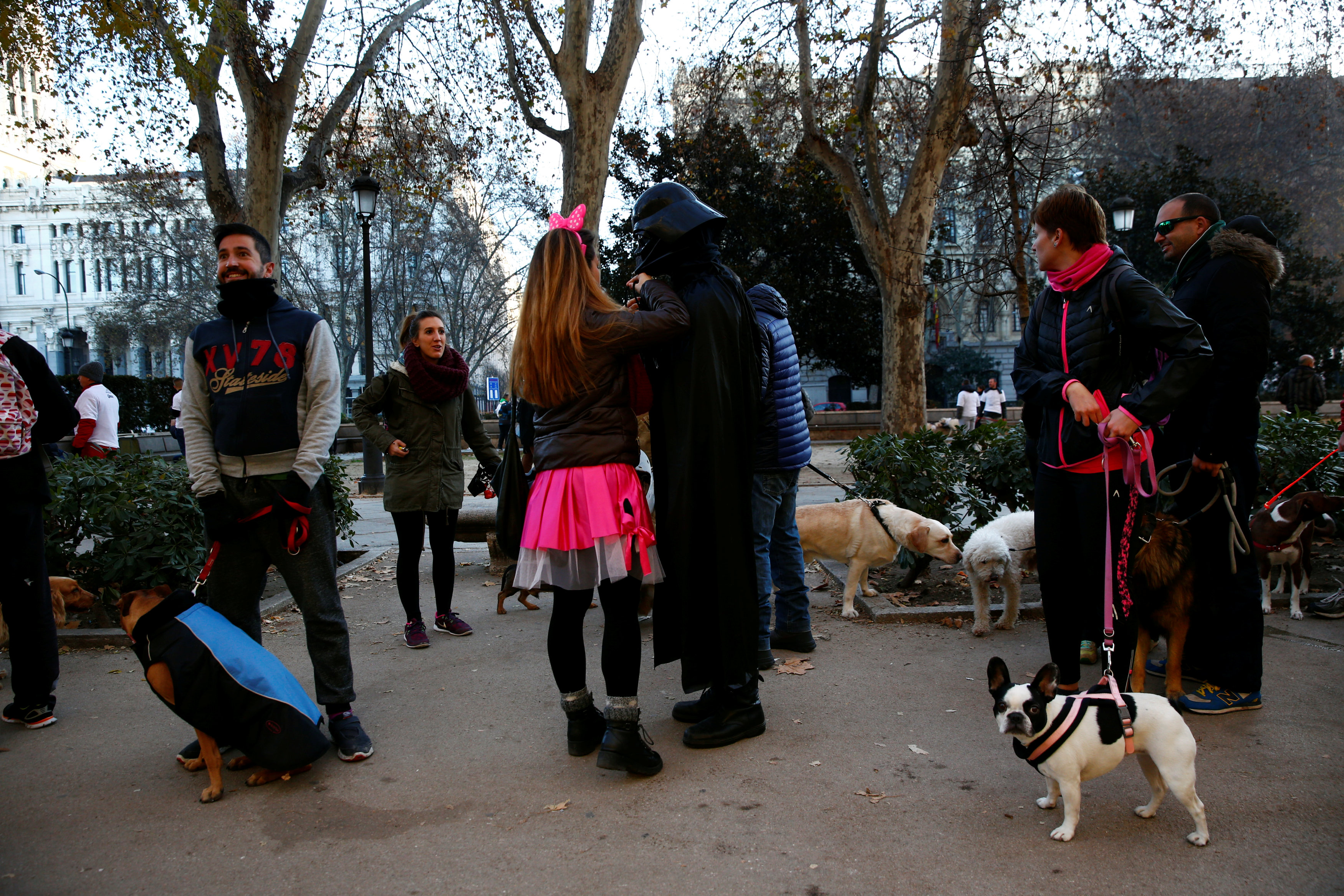 سباق للكلاب فى مدريد الإسبانية للتشيجيع على تربية الحيوانات الأليفة
