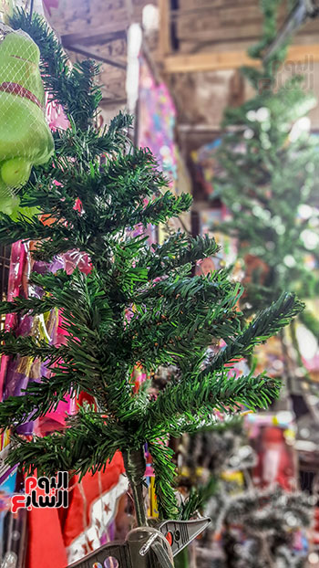 شجرة الميلاد بمحلات أسيوط