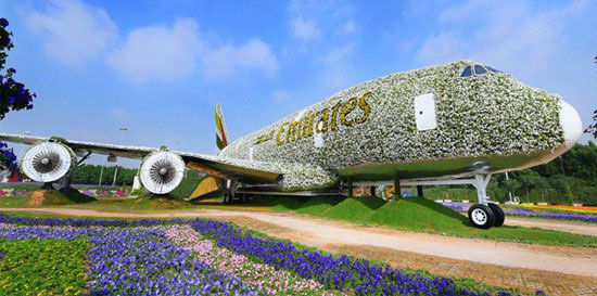 دبى تقدم أكبر مجسم طائرة حقيقى لطيران الإمارات من الزهور