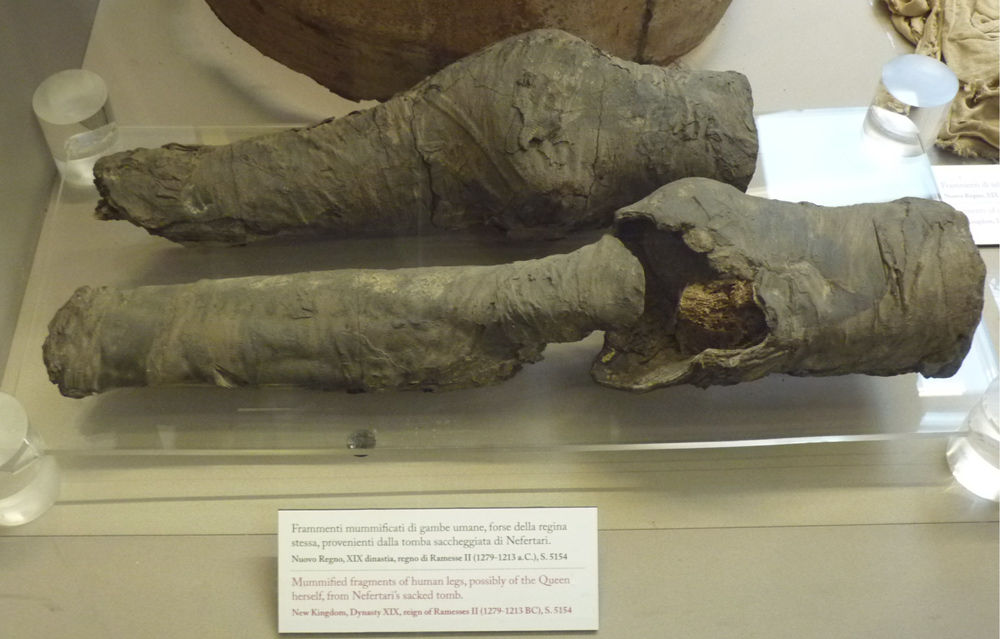 nefertiti-mummy-3-mysterious-legs