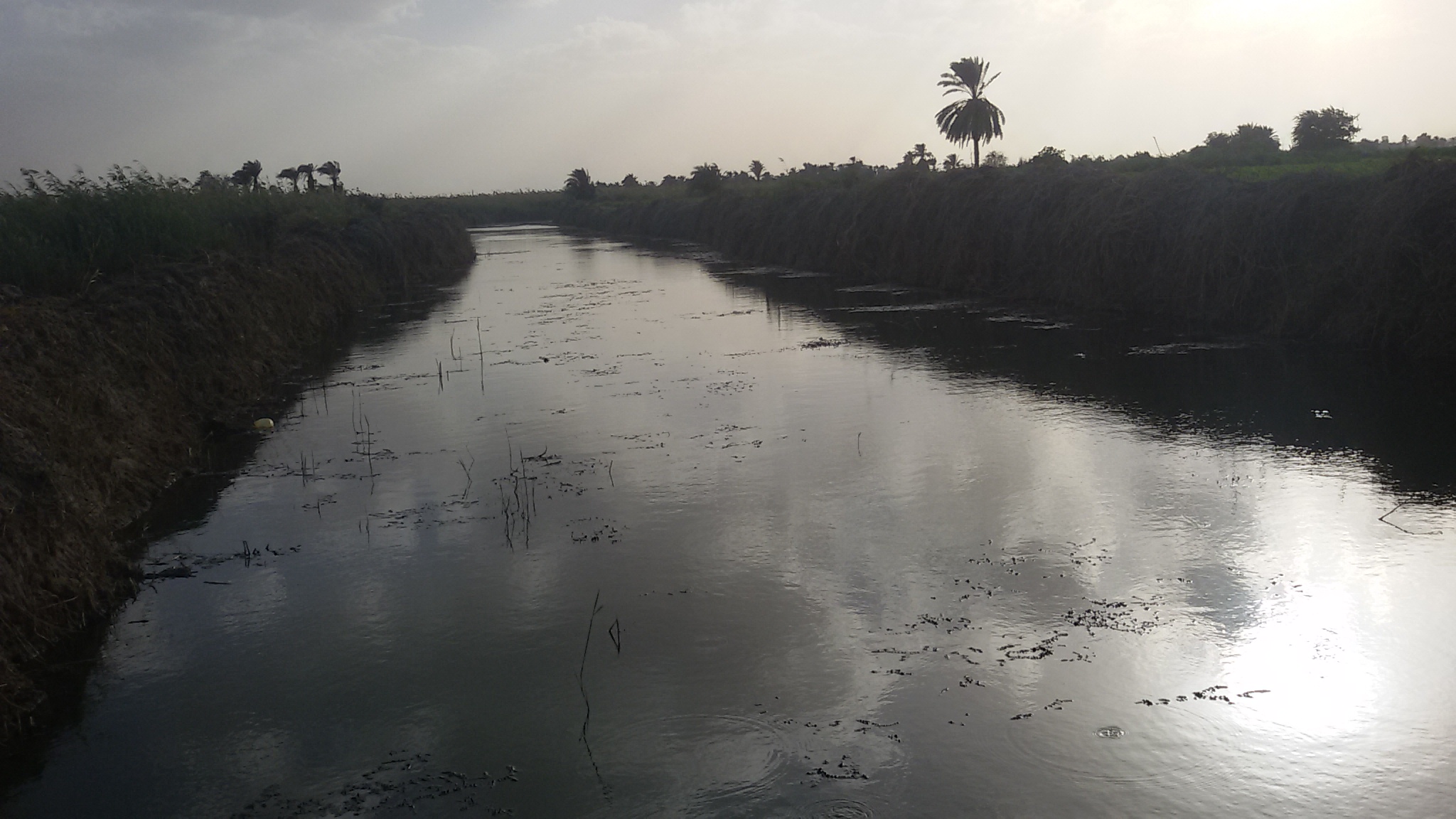 مصرف مياه أراضى صحراوية