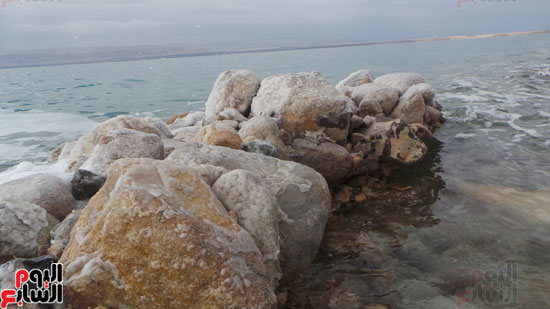                     صخور الملح المكونة على شاطىء البحر الميت