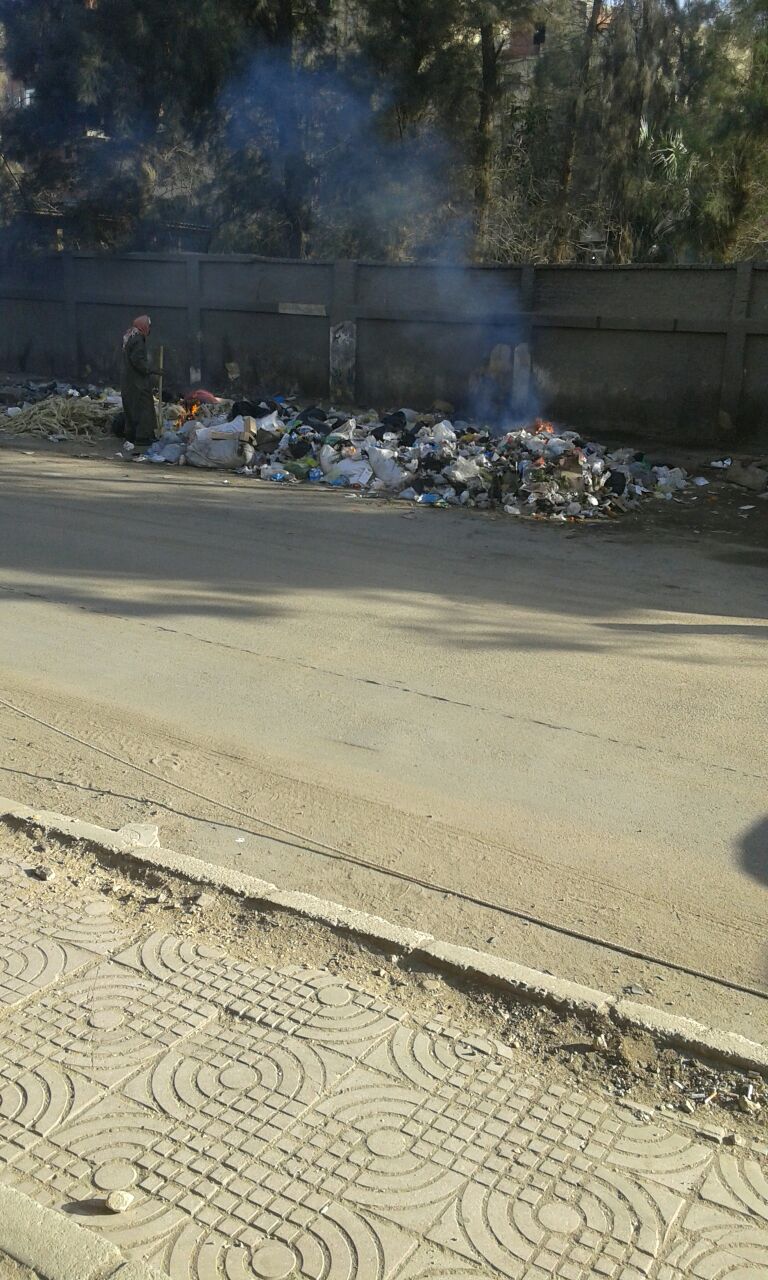 حرق القمامة