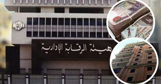 9---هيئة-الرقابة-الإدارية